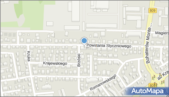 Piękno i Styl, Powstania Styczniowego 46, Lublin 20-706 - Przedsiębiorstwo, Firma, NIP: 7171649780