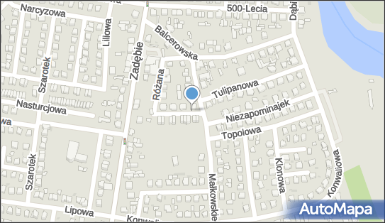 8360013753, Piekut Tomasz Tomex 