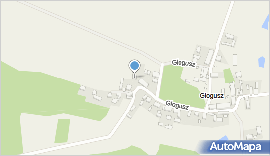 9730888830, Pielęgnacja Ogrodów Grzymisławscy Beata Grzymisławska 