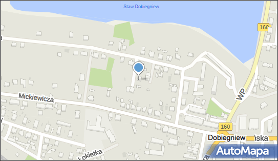 Pielęgniarka Środowiskowa, ul. Słowackiego 11, Dobiegniew 66-520 - Przedsiębiorstwo, Firma, NIP: 5941287479