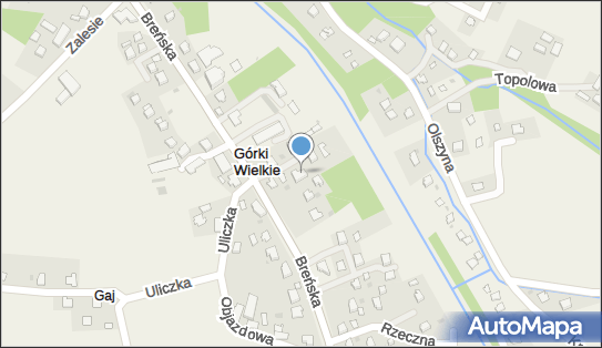 Pietrasina Arkadiusz Usługi Motoryzacyjne, ul. Breńska 29 43-436 - Przedsiębiorstwo, Firma, NIP: 5482524430