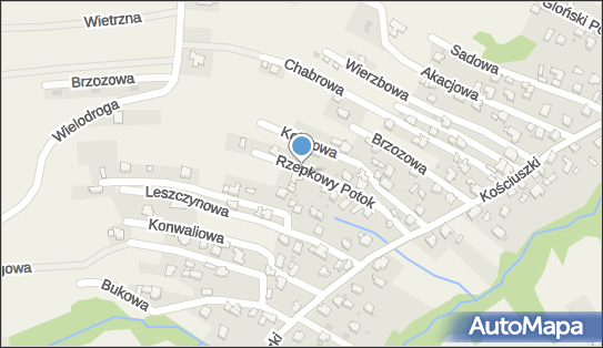 Pietraszko Piotr Fhu Color Max, Rzepkowy Potok 15, Pietrzykowice 34-326 - Przedsiębiorstwo, Firma, NIP: 5531612307