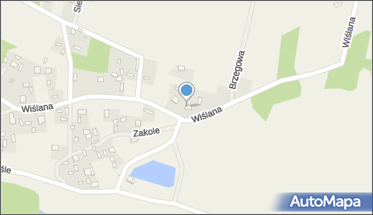 Pijalnia Piwa, Wykowo BN, Wykowo 09-472 - Przedsiębiorstwo, Firma, NIP: 7741018511