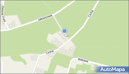 Piksel, ul. Cicha 21, Przyłęki 86-005 - Przedsiębiorstwo, Firma, NIP: 5541698807