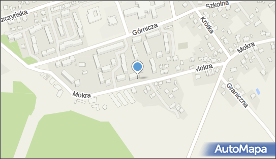 Pinky Marta Nitka Sylwia Nitka, Górnicza 44, Wola 43-225 - Przedsiębiorstwo, Firma, NIP: 6381754347