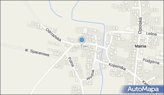 Pio-Max, Odrzańska 9, Malnia 47-316 - Przedsiębiorstwo, Firma, NIP: 7561221506