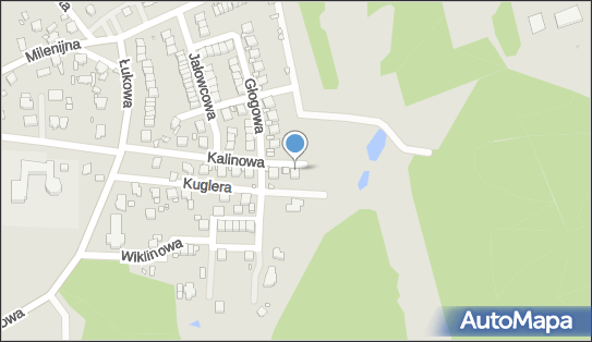 241432661, Piorecki Janusz 