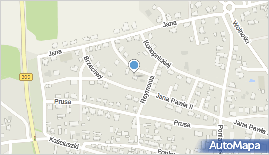 Piosik Jacek Firma Cemi, pl. Pisarzy Polskich 6, Rydzyna 64-130 - Przedsiębiorstwo, Firma, NIP: 6971329585