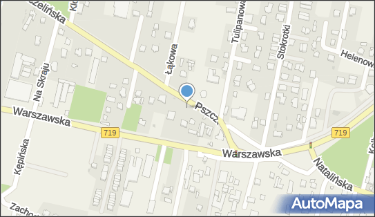 Piotr Adamczyk Pitosz, Pszczelińska 102, Otrębusy 05-805 - Przedsiębiorstwo, Firma, NIP: 5342323571