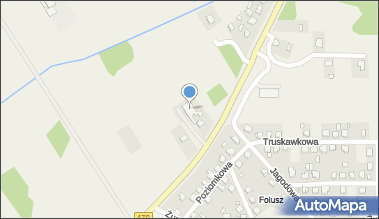 Piotr Bednarek F - A Mopchi, Cisew 141, Cisew 62-700 - Przedsiębiorstwo, Firma, NIP: 6681108864