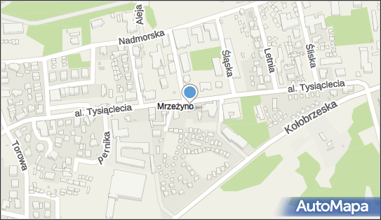 Piotr Czerniecki Pizza King, Aleja Tysiąclecia 50A, Mrzeżyno 72-330 - Przedsiębiorstwo, Firma, NIP: 8571630365