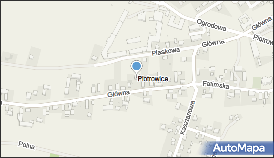 9131080725, Piotr Dobrzycki 