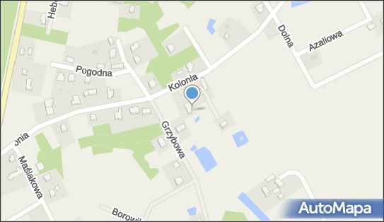 6040097486, Naprawa Skrzyń Biegów i Mostów Napędowych Drypa