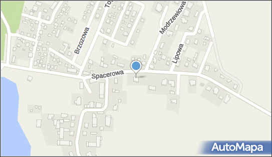 Piotr Gibas, Spacerowa 18, Borówno 86-022 - Przedsiębiorstwo, Firma, NIP: 5542768295