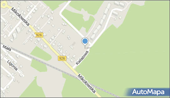 6350008011, Piotr Hanusek 