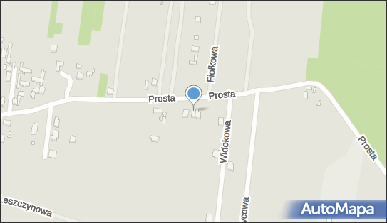 Piotr - Max Piotr Gliszczyński, Prosta 94, Piotrków Trybunalski 97-300 - Przedsiębiorstwo, Firma, NIP: 7711049292