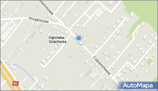 5242248060, Piotr Pietrzak VPR 