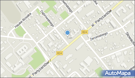 061400723, Piotr Rudnicki 