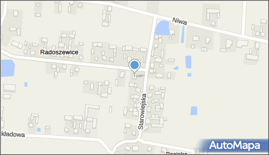 Piotr Rybczyński, Powstania Styczniowego 26, Radoszewice 98-354 - Przedsiębiorstwo, Firma, NIP: 5080065724
