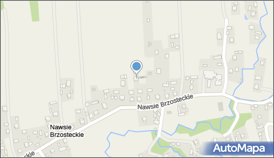 Piotr Trychta SoftMotion, Nawsie Brzosteckie 63, Nawsie Brzosteckie 39-230 - Przedsiębiorstwo, Firma, NIP: 8722249032