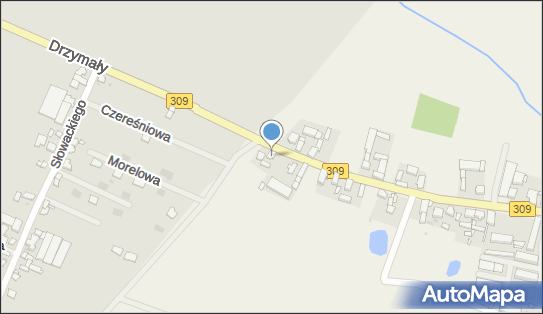 Piotr Wodzyński Piotrrol, Golina Wielka 101, Golina Wielka 63-940 - Przedsiębiorstwo, Firma, NIP: 8991324830