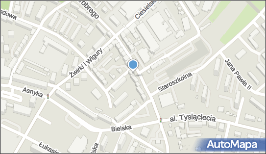 231125837, Taxi Osobowe Piotr Wójcik 