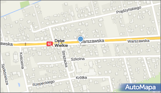Piotrkowicz Ostrowska Agnieszka, ul. Warszawska 41, Dębe Wielkie 05-311 - Przedsiębiorstwo, Firma, NIP: 8221826317