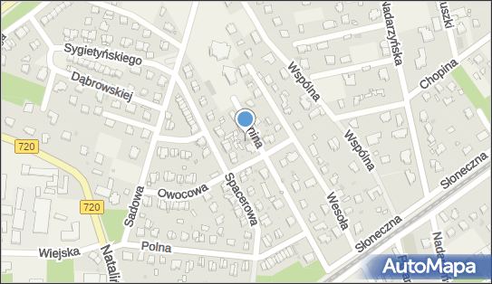 pirosubezpieczenia24.pl, ul. Edmunda Dunina 9, Otrębusy 05-805 - Przedsiębiorstwo, Firma, NIP: 5341442049