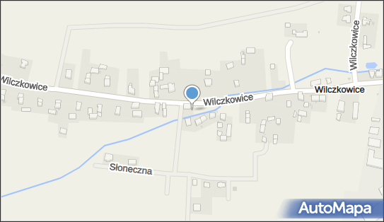 Pisarski w., Wilczkowice, Wilczkowice 22, Wilczkowice 55-065 - Przedsiębiorstwo, Firma, NIP: 9140007277