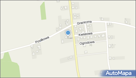 Pit-Stop Łukasz Skrzypczyk, Opolska 93, Dąbrówka Górna 47-300 - Przedsiębiorstwo, Firma, NIP: 1990101030