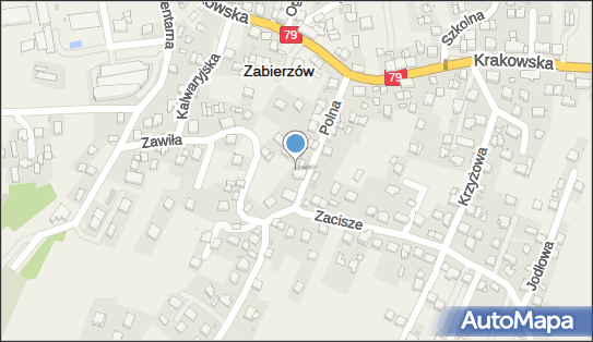 121173480, Piotr Paw Piter Trans Firma Usługowo Handlowo Transportowa 