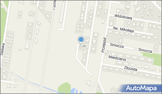 1230498955, Piter-Trans Piotr Wojtas 