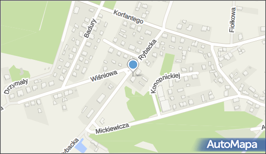 Pitertrans Piotr Cierniejewski, Rybacka 7, Goszcz 56-416 - Przedsiębiorstwo, Firma, NIP: 9111764107