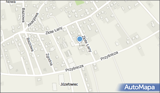 6381584359, Pitlok Krzysztof Transpit Transport Międzynarodowy i Krajowy 