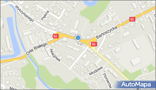 Pizza Bar Aneta Puzewicz Rozalia Pęcak, Lidzbark Warmiński 11-100 - Przedsiębiorstwo, Firma, NIP: 7431806639