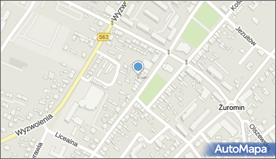 PizzeriaKurant w Żurominie Jacek Lewandowski, Żuromin 09-300 - Przedsiębiorstwo, Firma, NIP: 5691234794