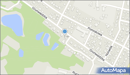 1251251131, PL Poland sp. z o.o. 