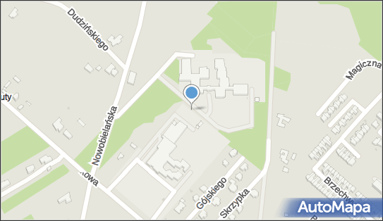 Placówka Opiekuńczo Wychowawcza Dom w Skierniewicach 96-100 - Przedsiębiorstwo, Firma, numer telefonu, NIP: 8361291342