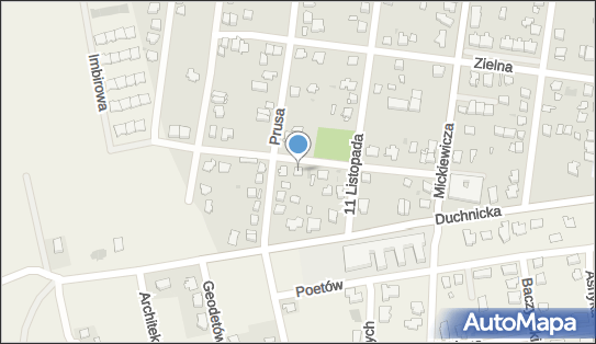 1181635339, Plan C Chie Piskorska 