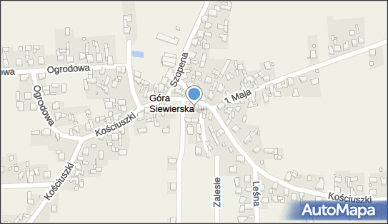 Płatek Ireneusz F.U.H.P.Elsam, ul. Kościuszki 88, Góra Siewierska 42-575 - Przedsiębiorstwo, Firma, NIP: 6251418496