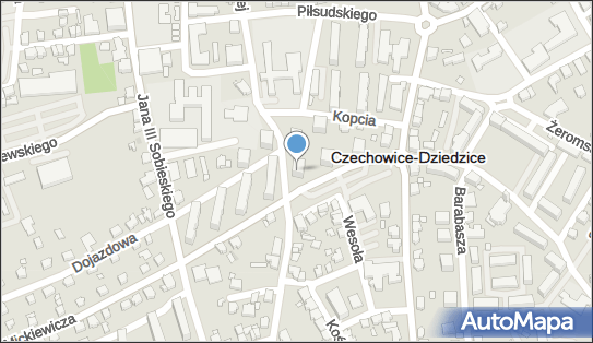 Plus Przedsiębiorstwo Handlowe, ul. Adama Mickiewicza 6 43-502 - Przedsiębiorstwo, Firma, NIP: 6521100351