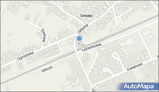 9131238215, Taksówka Osobowa Poddany Waldemar 