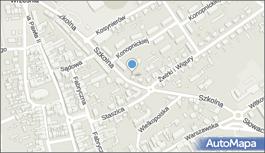 Podsadny Marcin Firma Podsadny Marcin Podsadny, ul. Szkolna 8 62-300 - Przedsiębiorstwo, Firma, NIP: 7891318137