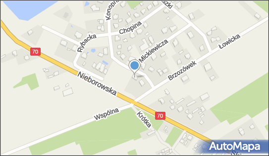 Pokrop Investment Jakub Pokrop, ul. Marii Konopnickiej 3, Mysłaków 99-416 - Przedsiębiorstwo, Firma, NIP: 8341826142