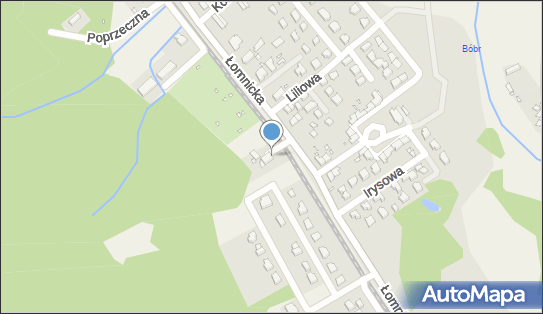 6112786322, Pol SV Lines Bogdan Svystun 
