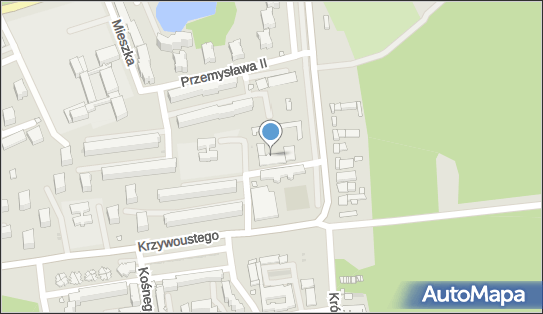 Polgraf, Bolesława Śmiałego 4, Kędzierzyn-Koźle 47-232 - Przedsiębiorstwo, Firma, NIP: 7491347170
