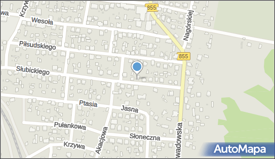 Polibest-Insoltec Paweł Czuliński, Słubickiego Władysława 12 37-470 - Przedsiębiorstwo, Firma, NIP: 8652550535