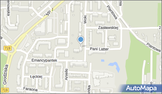 Poligraf Service, Wokulskiego 13, Pruszków 05-800 - Przedsiębiorstwo, Firma, NIP: 5341137441