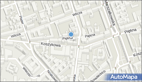 Polnat, Piękna 43, Warszawa 00-672 - Przedsiębiorstwo, Firma