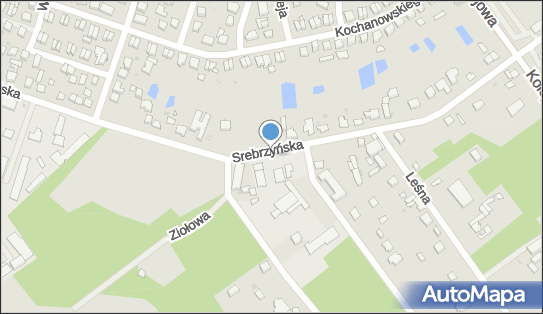 Polski Karton, Srebrzyńska 21, Konstantynów Łódzki 95-050 - Przedsiębiorstwo, Firma, numer telefonu, NIP: 7322022695
